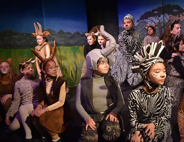 Lion King Jr, The | The Theatre Company